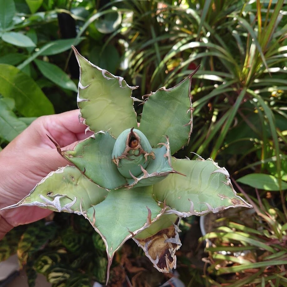 64d478feb0a302004e9b96f9