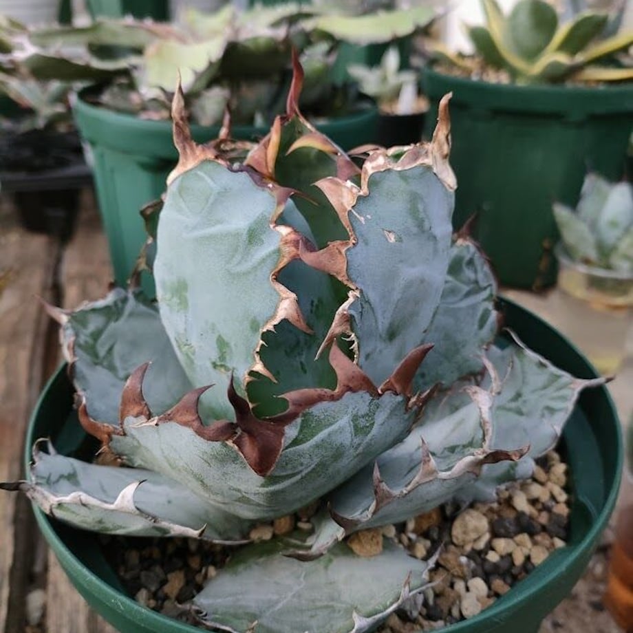 60fbda2e729134122fa3f26b