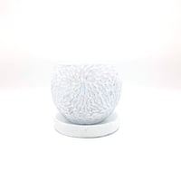 raraiuvant 陶器鉢 ホワイト SMサイズ