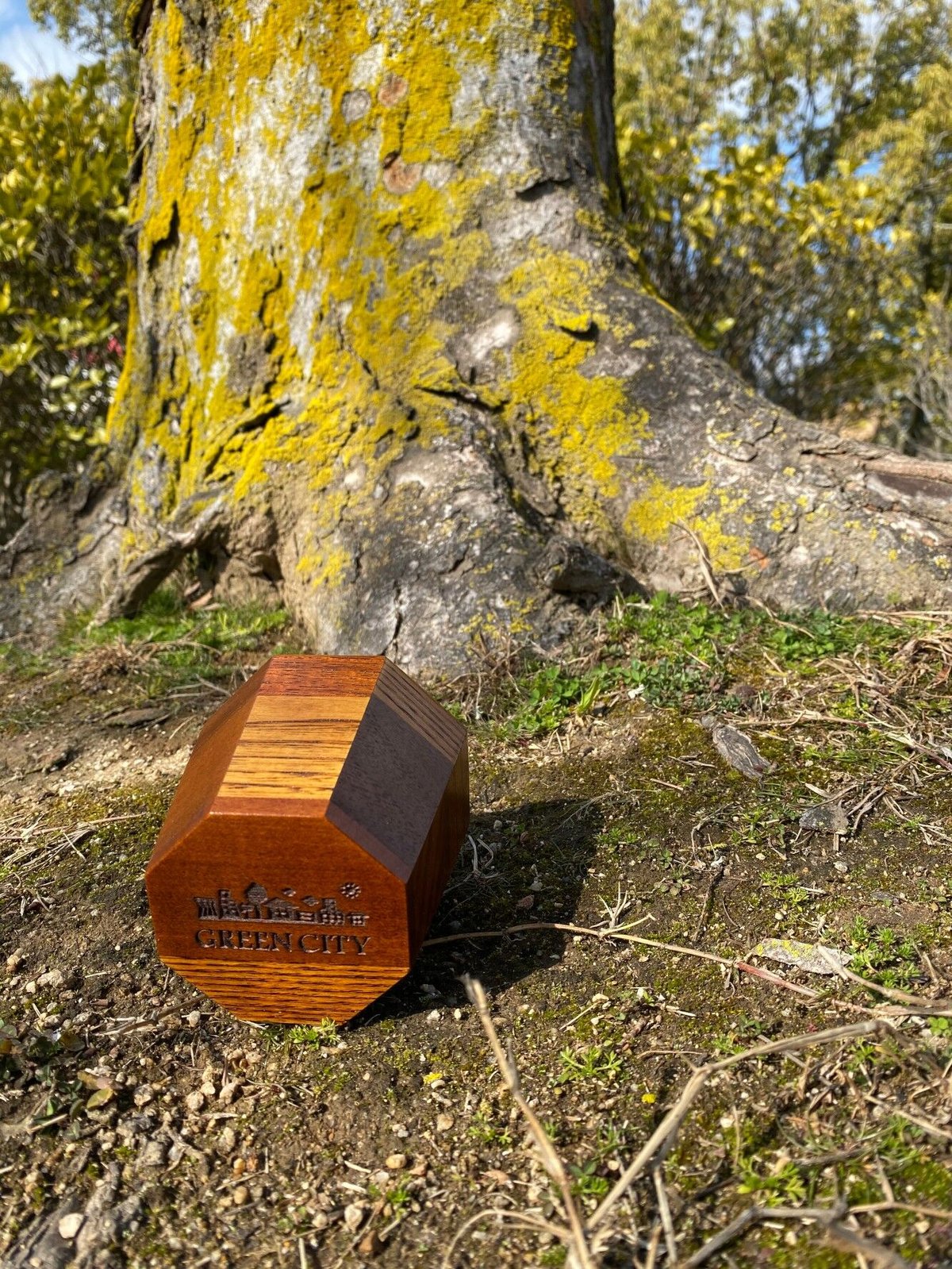 WOODEN MOZAIC ART 