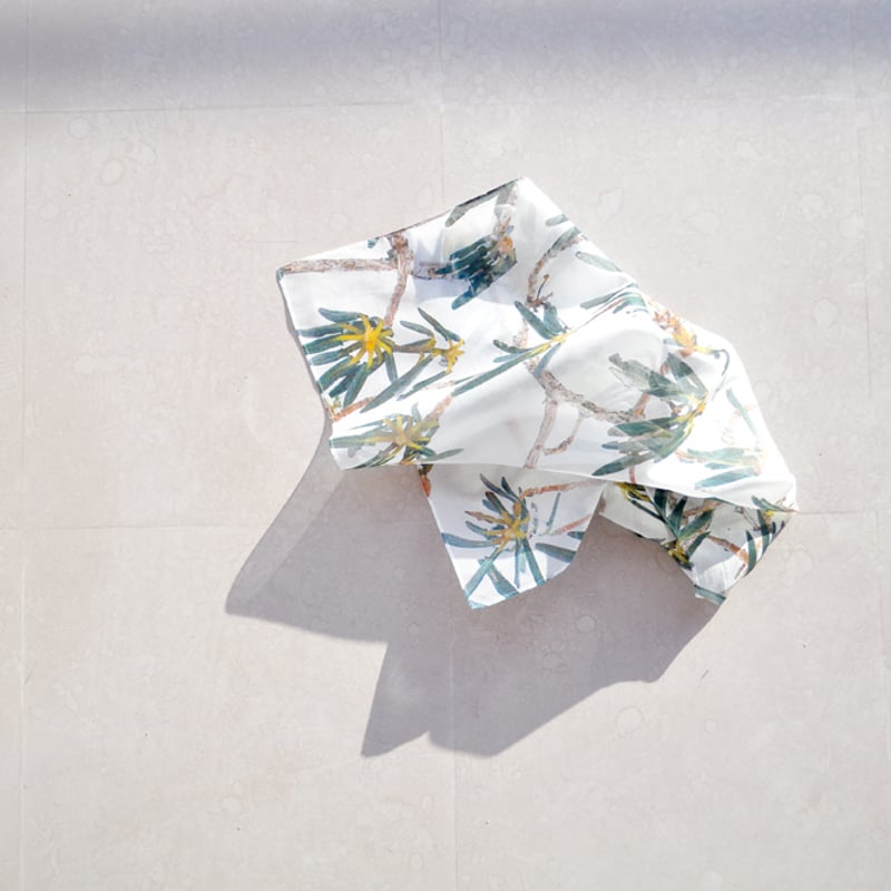 H0045 | MOUNTAIN COLLECTOR