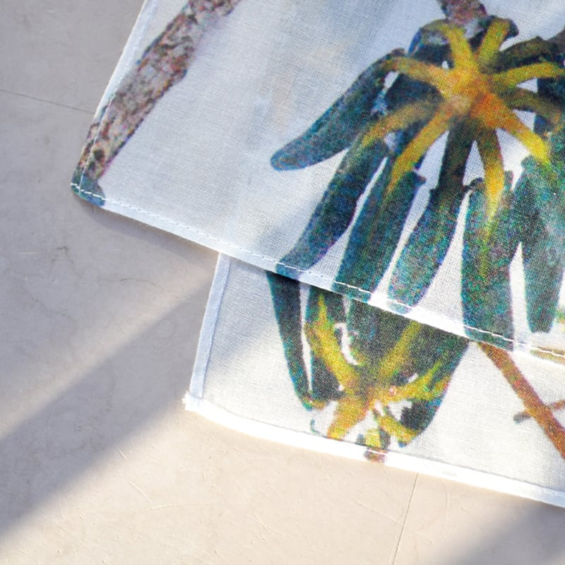 H0045 | MOUNTAIN COLLECTOR