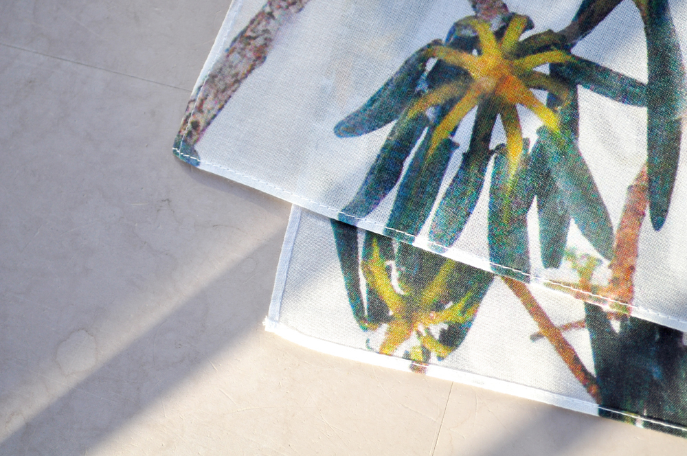 H0045 | MOUNTAIN COLLECTOR