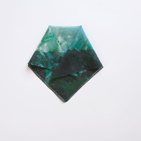 H0120