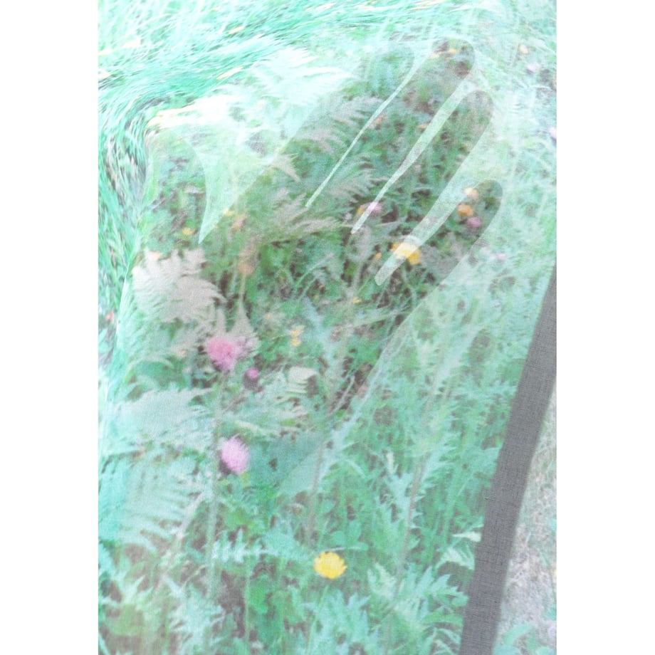 646f39a9db80ba002d129cd7