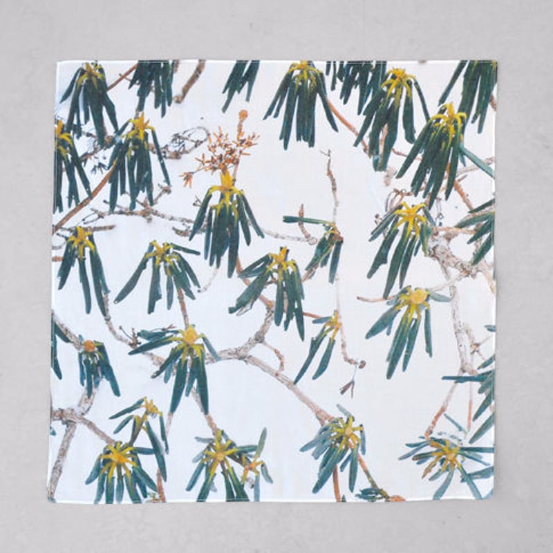 H0045 | MOUNTAIN COLLECTOR