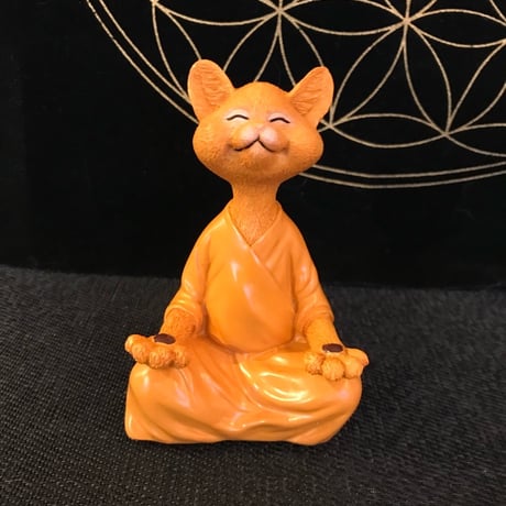 瞑想ネコ