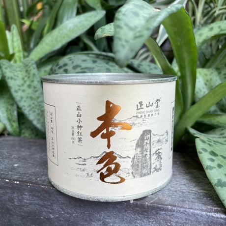 [正山堂] 本色 スモーク型 伝統的正山小種 普通缶(100g) 2021年