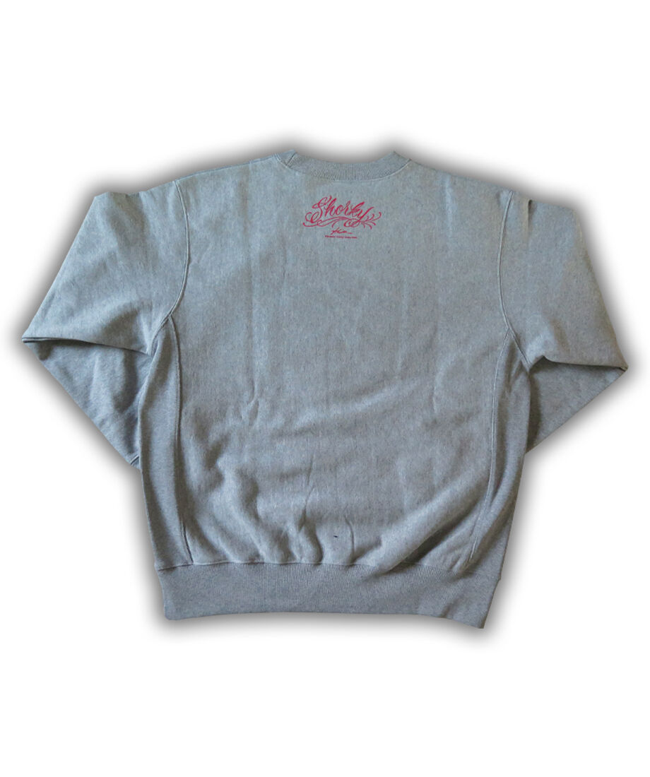 岩田翔吉選手　Champion HSHロゴ Tシャツ Lサイズ即決お値下げ 岩田翔吉応援Tシャツ Lサイズ - メルカリ