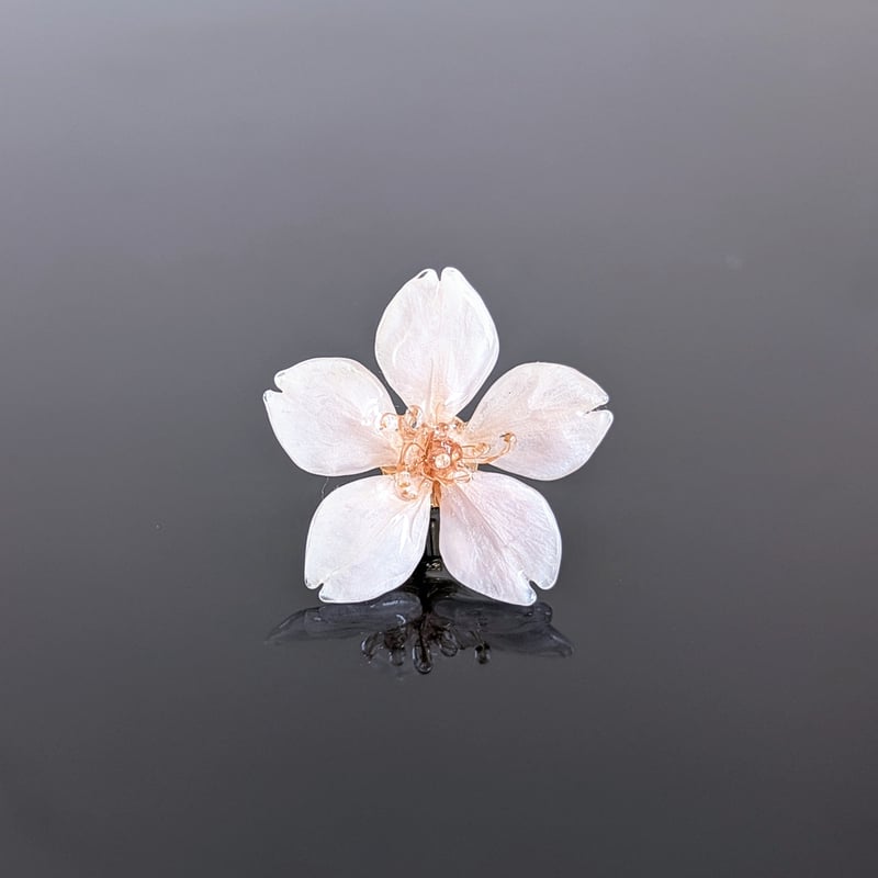 受注制作】Everpink Sakura. 本物のお花 桜のタックピン/ブローチ