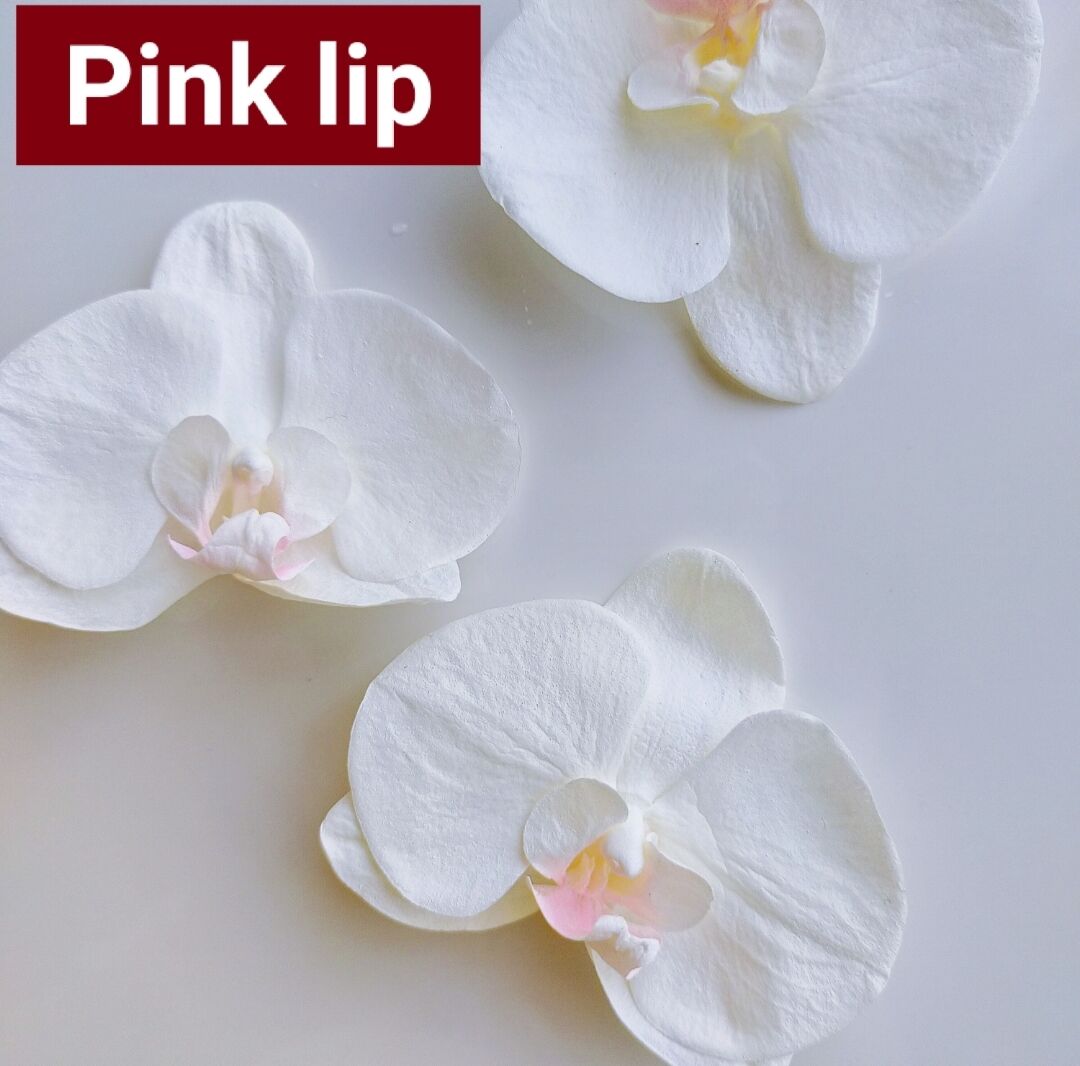 【受注製作】White/Pinklip Phalaenopsis.　本物のお花　胡蝶蘭のピアス/イヤリング (両耳)　プリザーブド コチョウラン