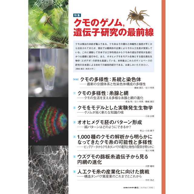 2020年11月発行号/特集「クモのゲノム遺伝子研究の最前線」/(7論文