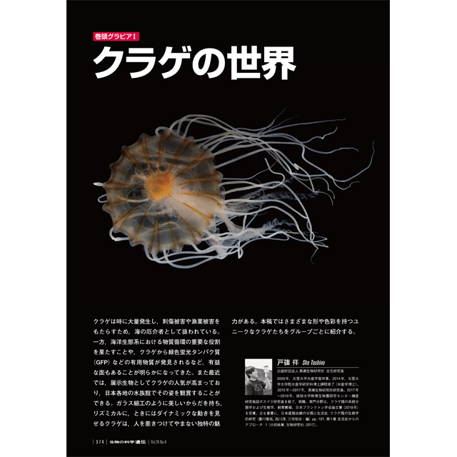 くらげページ 2020年7月発行号/巻頭グラビア/クラゲの世界 | 生物の科学 遺伝