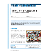 2017年5月発行号/特集I/善藤　威史 氏