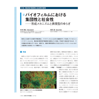 2023年11月発行号/特集/微生物の集団性と社会性の創発/バイオフィルムにおける集団性と社会性(杉本　真也 氏)
