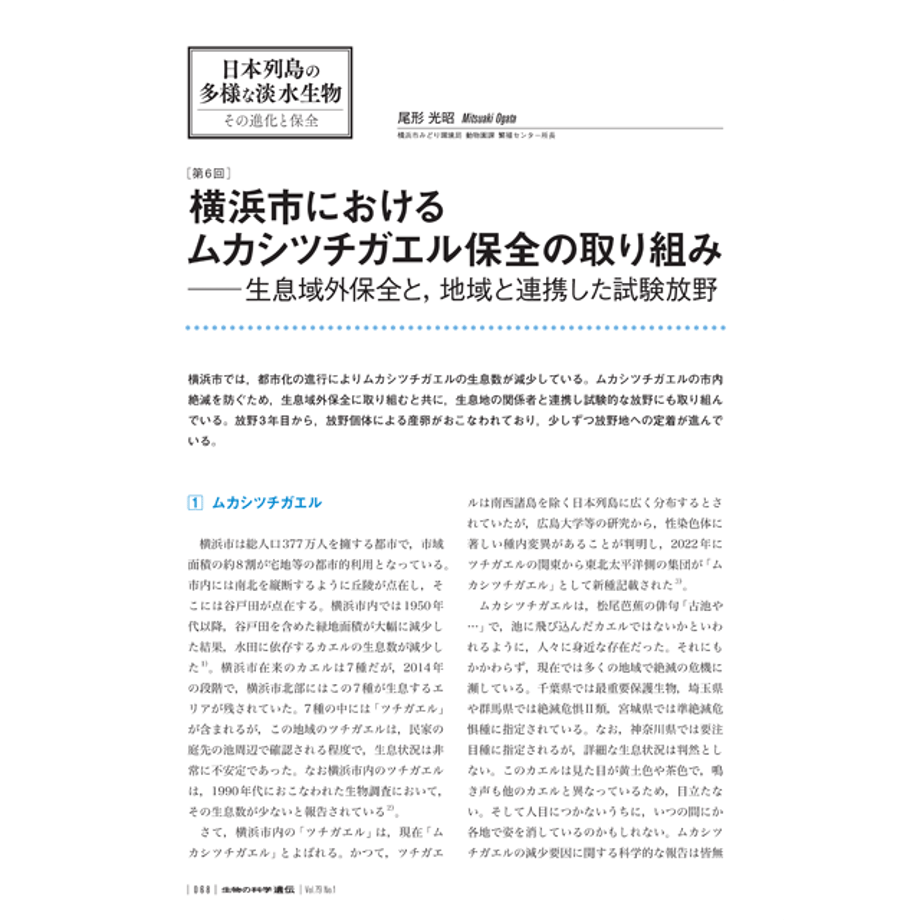 67805d1853ebeb1ca51b4584