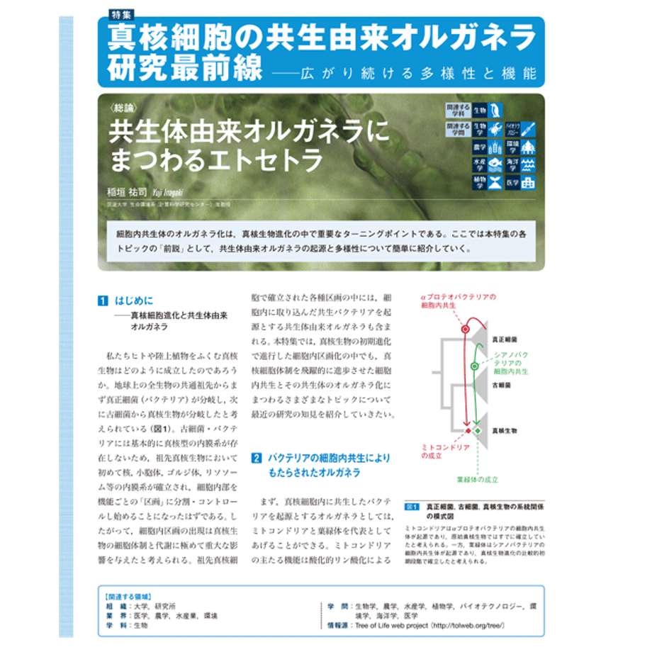 5d09c44f1bc6e8600e21a350