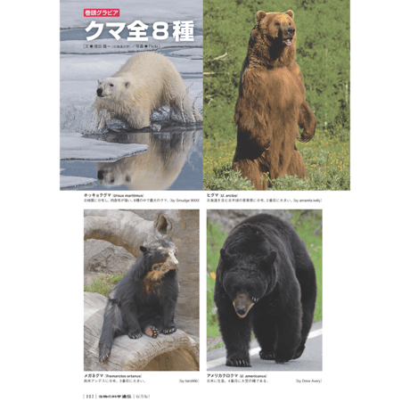 ネイチャー　ヒトゲノム特集号　2冊組 ネイチャー ヒトゲノム特集号 2冊組 ネイチャー ヒトゲノム特集