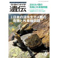 『生物の科学　遺伝』2024年78-6（11月発行号）全冊PDF（別サイトで縮刷版の閲覧可）