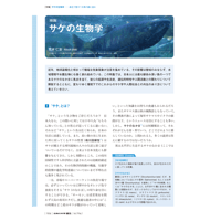 2025年3月発行号/特集/サケの生物学/サケの生物学(荒木　仁志 氏)