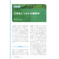 2025年3月発行号/植物を集める!!//日常性とつながる植物学(長田　敏行 氏)