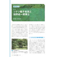 2024年9月発行号/植物を集める!!//ソテツ精子発見と池野成一郎博士(長田　敏行 氏)