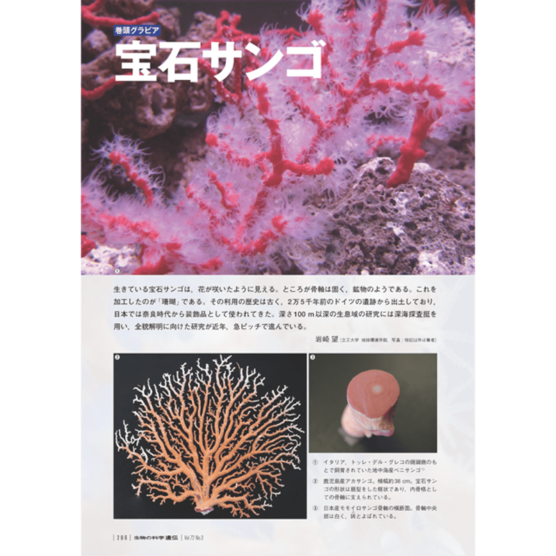 宝石サンゴ その夢とロマン Bibian 比比昂 - b30☆ 宝石サンゴ 〜その夢とロマン〜【新谷虎