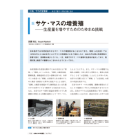 2025年3月発行号/特集/サケの生物学/サケマスの増養殖(宮腰　靖之 氏)
