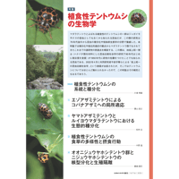 2023年1月発行号/特集/植食性テントウムシの生物学(5論文)