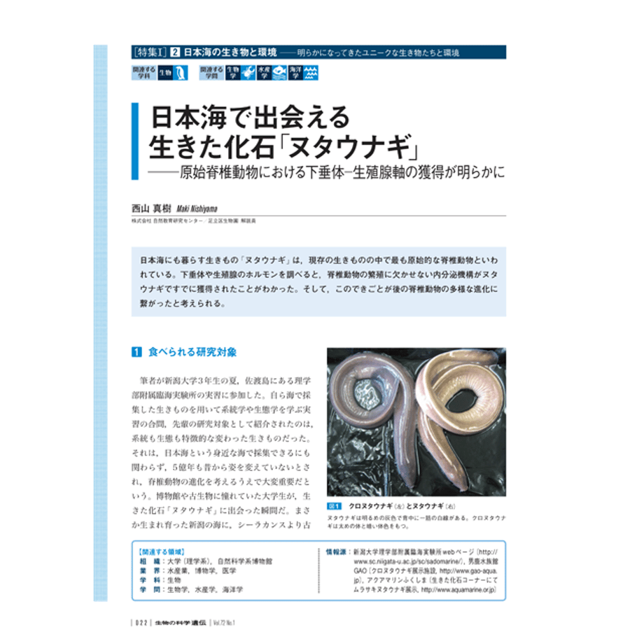 5d157f511bc6e8304ea55fb8