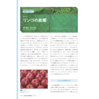 2023年11月発行号/植物を集める!!//リンゴの故郷(長田　敏行 氏)