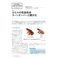 2024年5月発行号/日本列島の多様な淡水生物～その進化と保全//カエルの性染色体ターンオーバーと種分化(三浦　郁夫 氏)