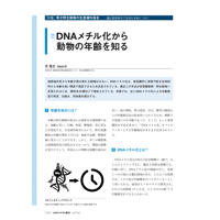 2023年9月発行号/特集/希少野生動物の生息域外保全/DNAメチル化から動物の年齢を知る(斉　惠元 氏)