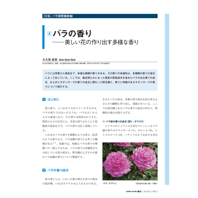 2024年9月発行号/特集/バラ研究最前線/バラの香り(大久保 直美 氏