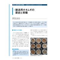 2024年7月発行号/特集/お酒の生物学[世界編]/醸造用オオムギの歴史と育種(佐藤　和広 氏)