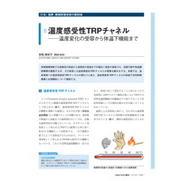 2024年3月発行号/特集/温度・機械刺激受容の最前線/温度感受性TRPチャネル(加塩　麻紀子 氏)