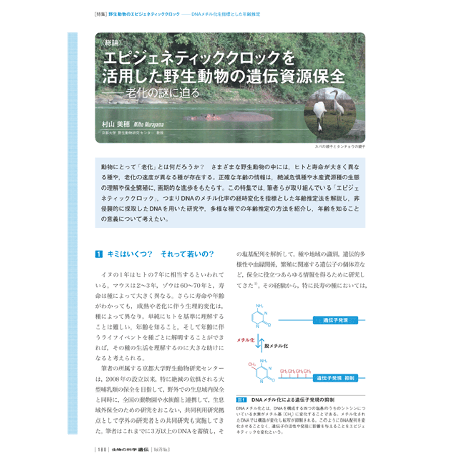 663d5ff6dda6730030f99a37