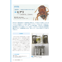 2019年3月発行号/特別寄稿/橋本　佳明 氏