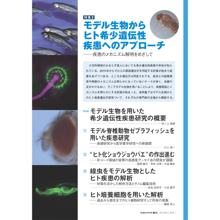 5d159fe6031d9f401b2e7da5