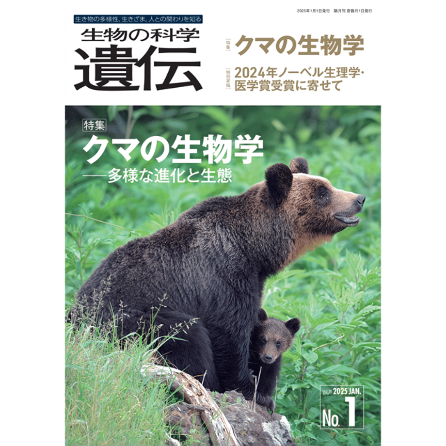 6780612f6e3db5011b869a39