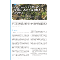 2021年9月発行号/投稿/イージーセンスを用いて海藻などの光合成速度を測定する(飯田　勇次 氏)