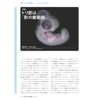 2023年7月発行号/特集//トリ胚は「形の魔術師」だ(高橋　淑子 氏)
