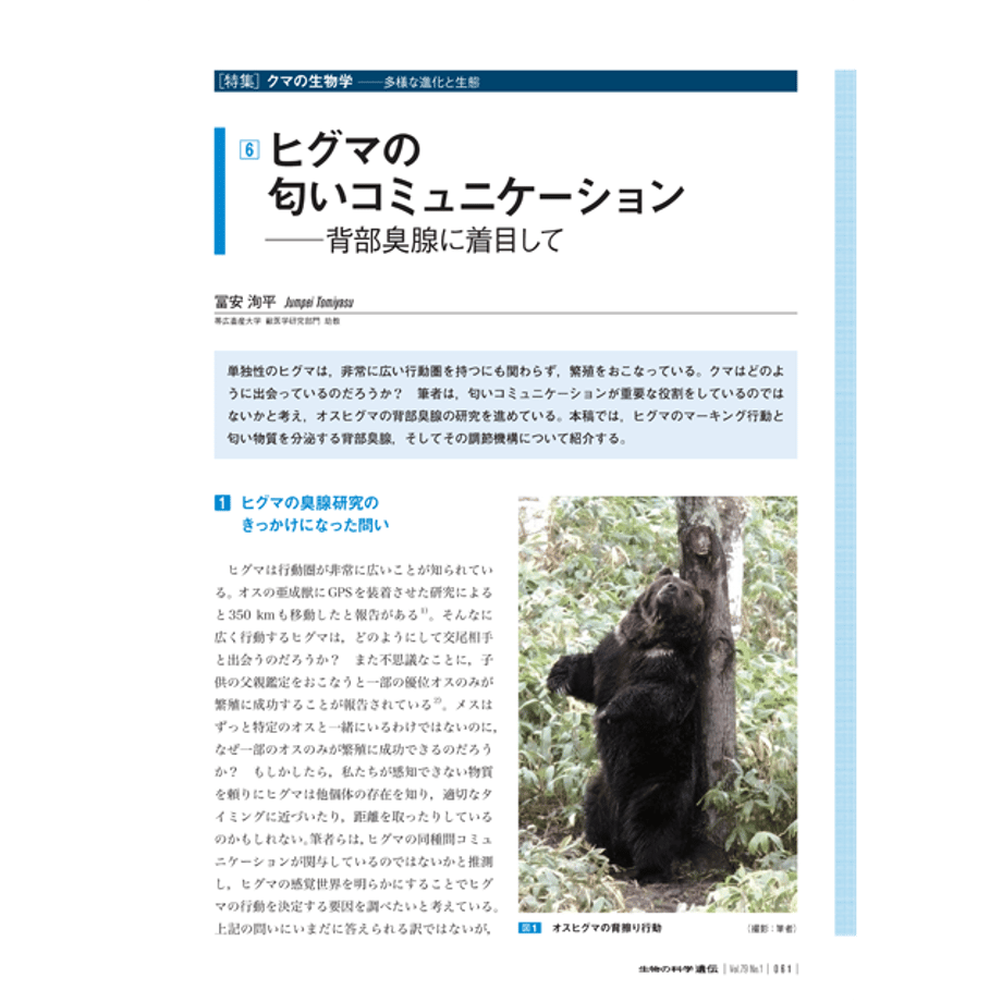 67805db084ab9a19dea6d069