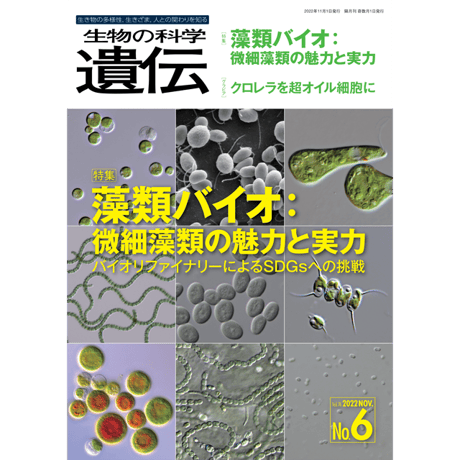 CATEGORY 2022年76-6(11月号) | 生物の科学 遺伝 オンライン