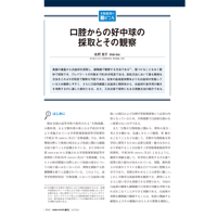 2020年7月発行号/実験観察の勘どころ/佐野　寛子 氏