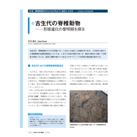 2024年1月発行号/特集/形態進化研究最前線/古生代の脊椎動物(平沢　達矢 氏)