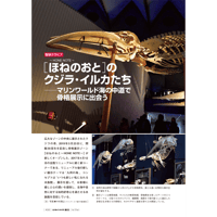 2019年9月発行号/巻頭グラビア/［ほねのおと(HONE NOTE)］のクジラ・イルカたち