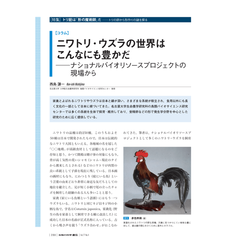 2023年7月発行号/特集//ニワトリ・ウズラの世界はこんなにも豊かだ