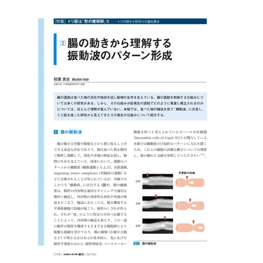 64acb1b6df8567002e379b47