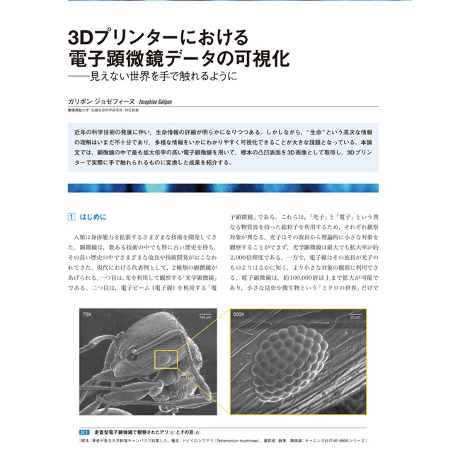 5d09bdff75217942cae4e103